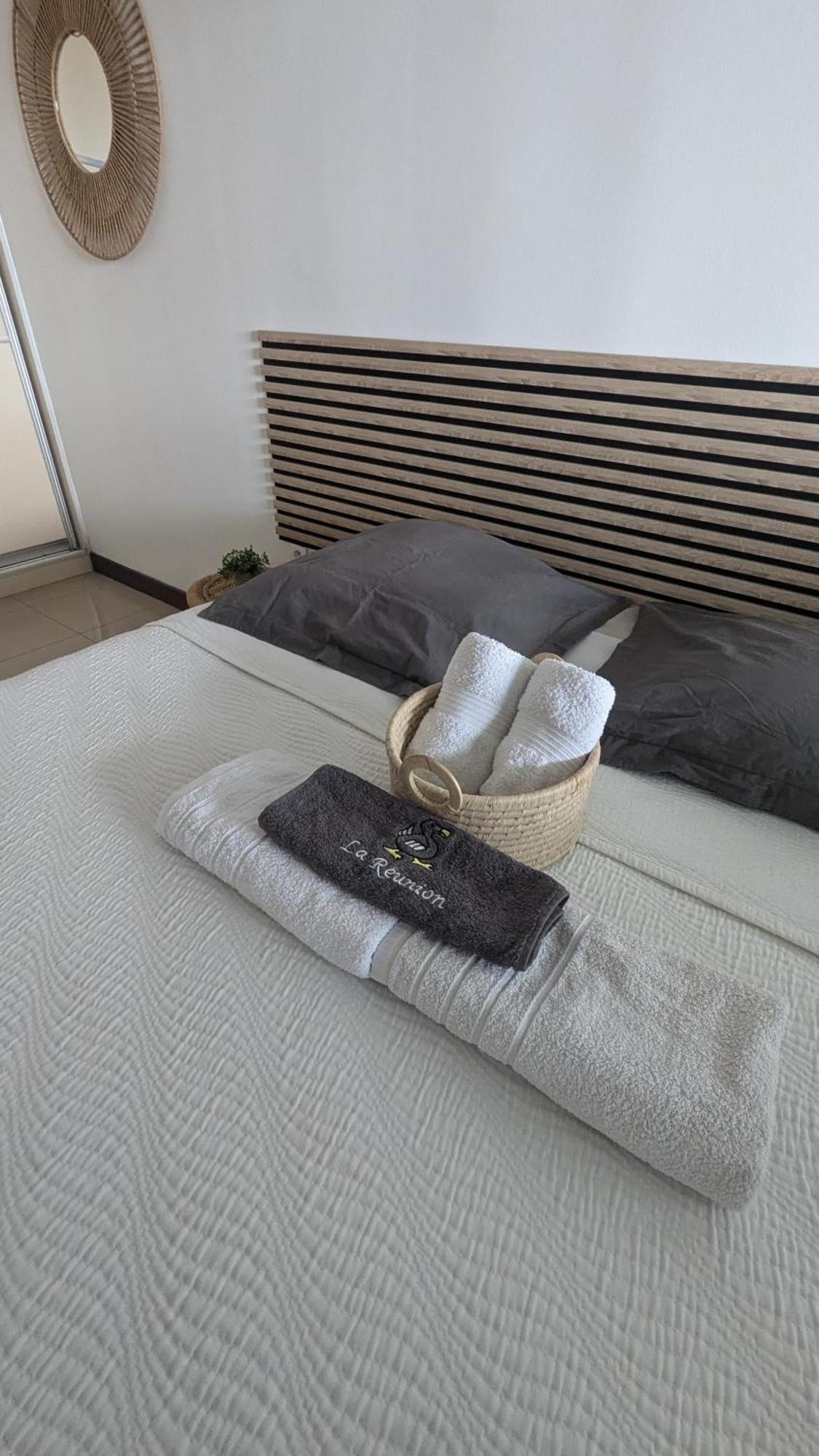 Entierement Equipe, Climatise, Wifi, Au Dernier Etage Sans Vis A Vis Apartment Сен Дьони Екстериор снимка